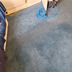 Nitro carpet and upholstery cleaning before photo