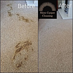 Nitro carpet and upholstery cleaning after photo