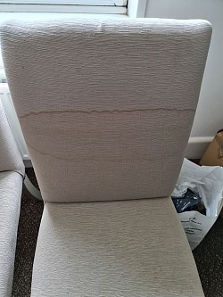 Nitro carpet and upholstery cleaning before photo