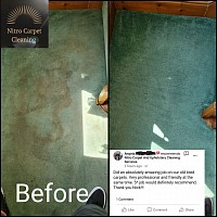 Pet stain removal