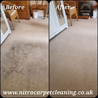 Plymouth carpet cleaning
