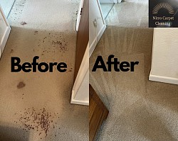 Blood Stain Removal On Wool Carpets