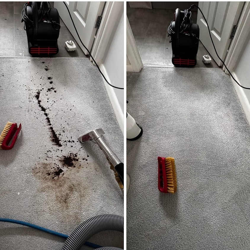 Professional Bio Hazard Stain Removal Carpet Cleaning Plymouth Before & After Photo