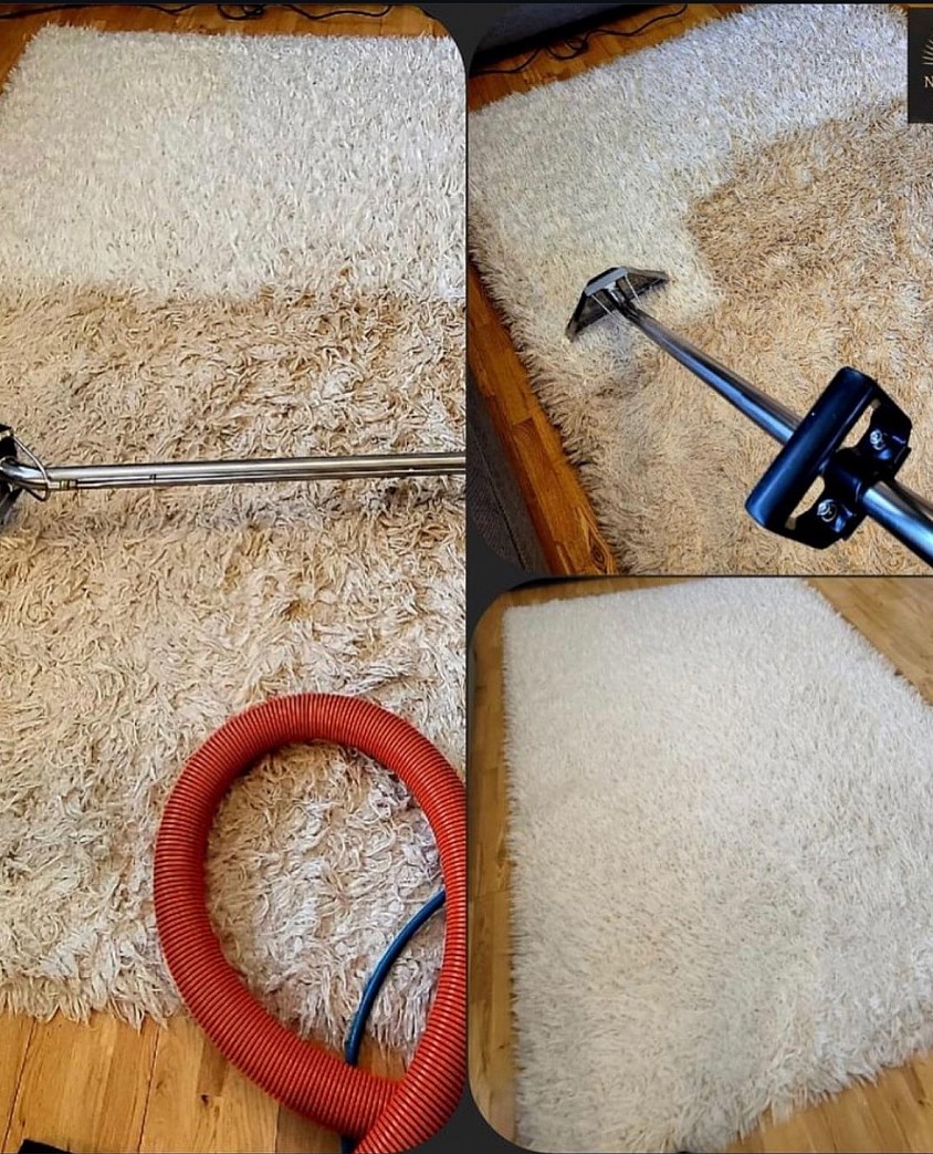 Professional Plymouth Rug Cleaning Services Before & After Photo