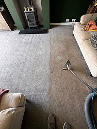 Plymouth pet urine carpet cleaning