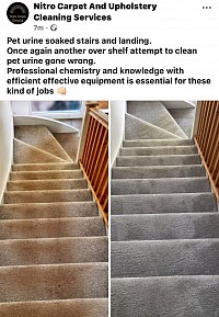 Pet urine removal